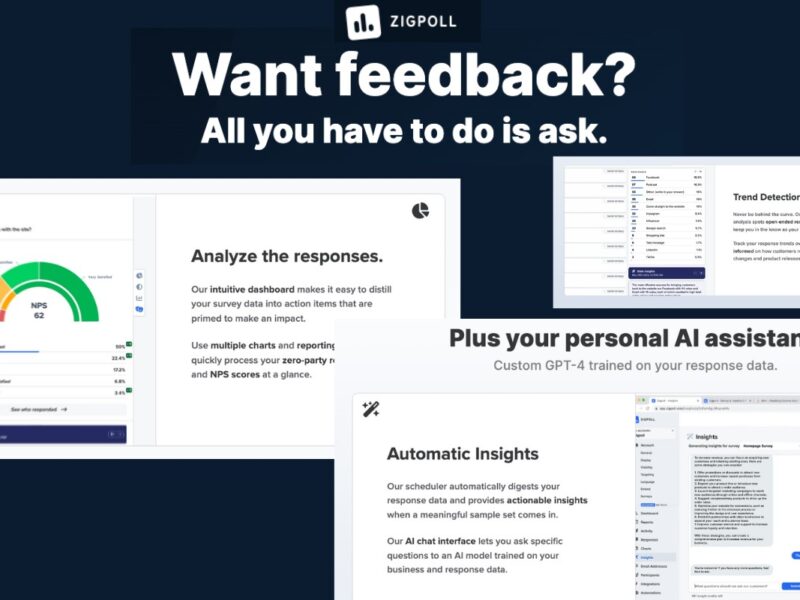 Zigpoll: The Closest Thing You'll Get to Reading Your Customers' Minds